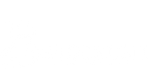 BagCrush